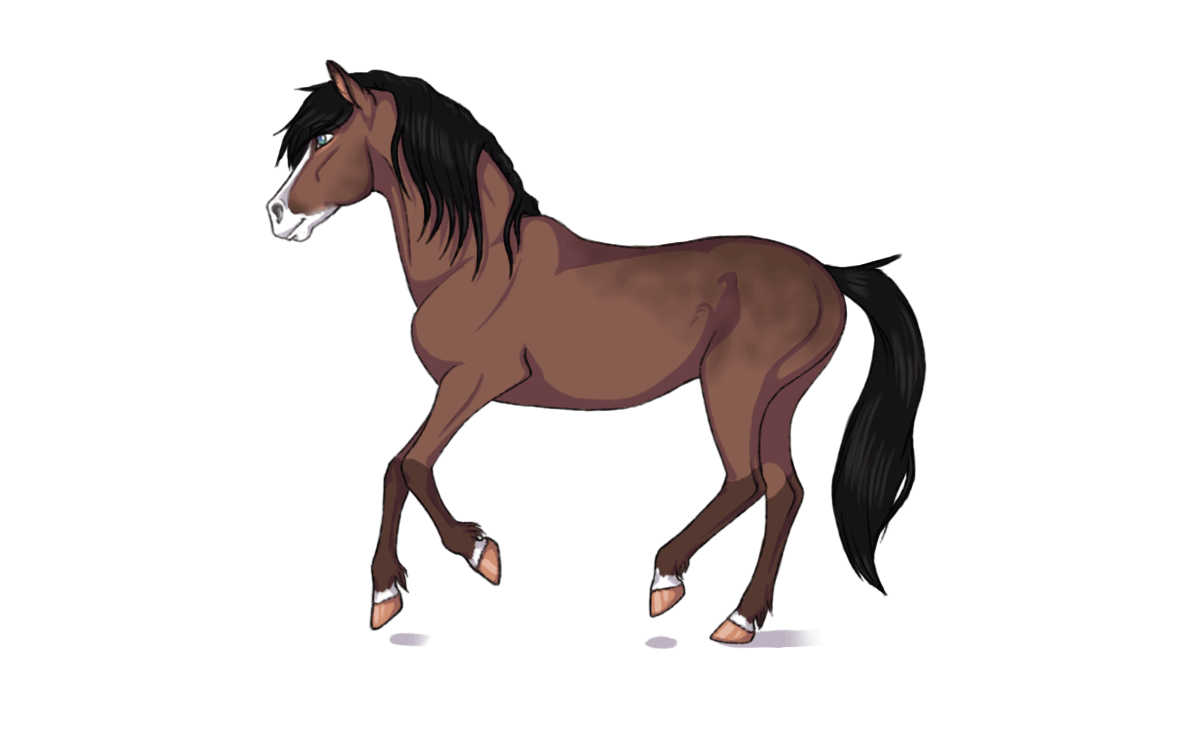 gif-horse-107